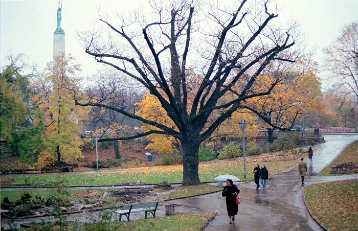Rain in Kronvalda Park