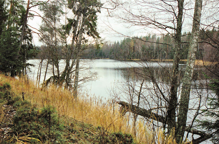 One of Mordanga's Lakes